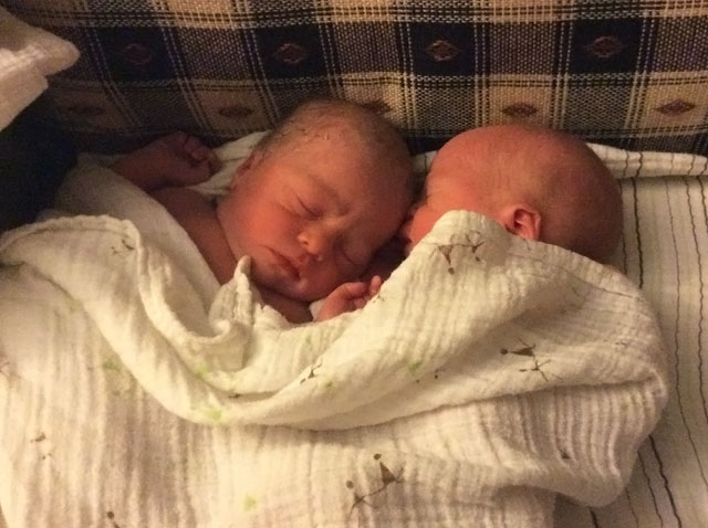 Newborn Twins in Salem OR